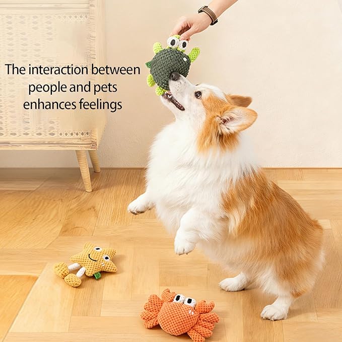 Dog Squeaky Chew Toy Interactively Teeth Pet Training Sounds Supply Sound-Making Chew Interactive Teeth Training Enrichment