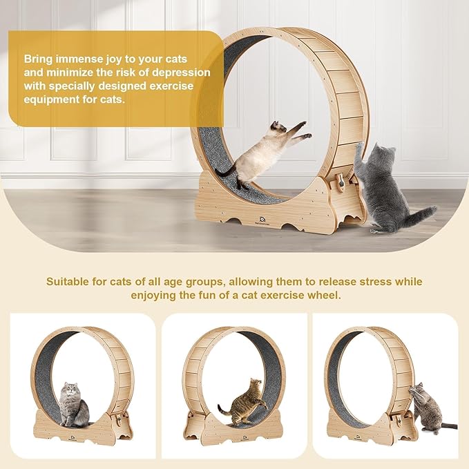 Cat Wheel, 48" XL Large Cats Exercise Running Wheel, Cat Treadmill for Indoor Cats