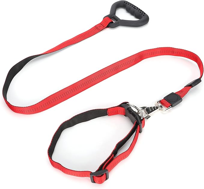 Heavy Duty Dog Leash Collar Set, Adjustable Nylon Leash with Soft PP Handle, Durable Rope Leash Collar for Small Medium Large Dogs, Pet Supply with Shock - Absorbing (Red)