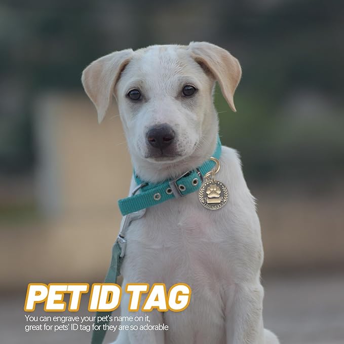 Healifty Pet Id Tag Round Metal Pendant with Engraved Name DIY Anti-Lost Dog and Cat Collar Tag Kitten Puppy for Pet Supplies