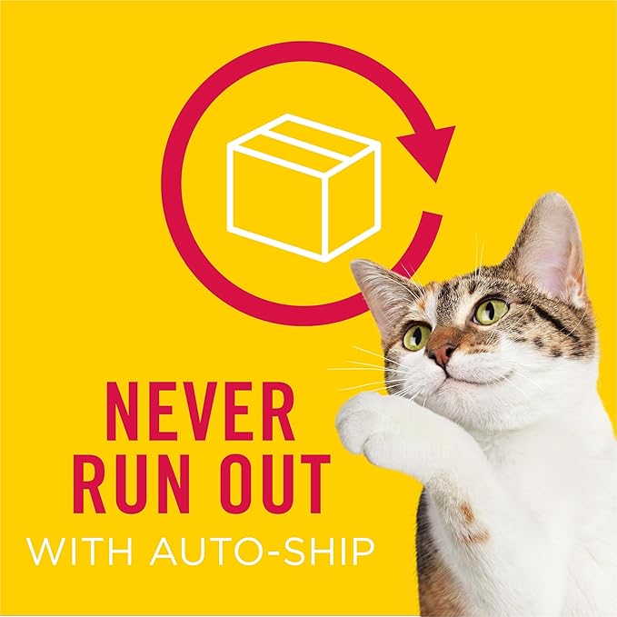 Purina Friskies Lil' Gravies Roasted Chicken Flavor Cat Food Lickable Cat Treats - (Pack of 16) 1.55 oz. Pouches