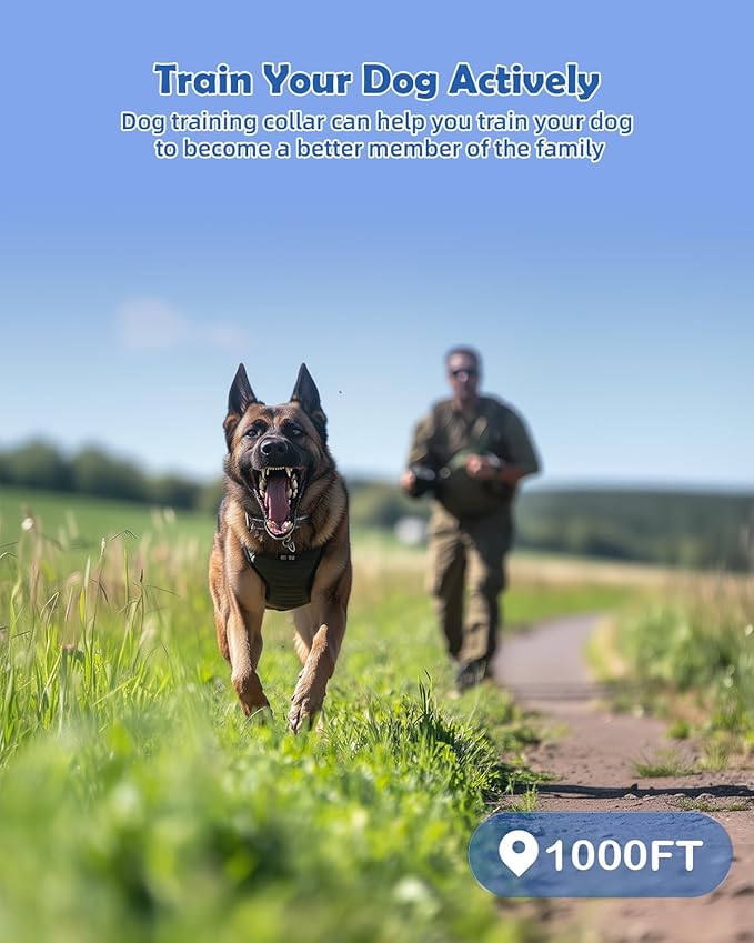 PATPET Dog Training Collar - Rechargeable Dog Training Collar with Remote for Medium Large Dogs 1000Ft Remote Range 3 Training Modes IPX7 Waterproof Pink