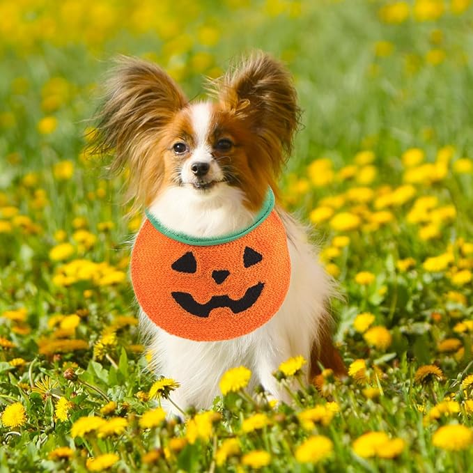 Halloween Pumpkin Dog Bandana Tie-on Bandana Bib Orange M Size for Pets to 15 Lbs Festival Pet Scarf Comfortable Cat and Dog Supplies