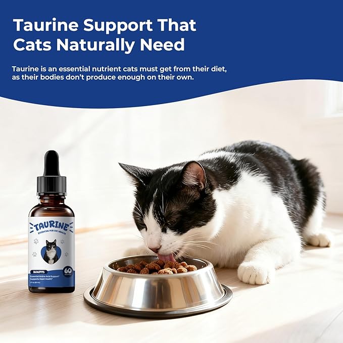 Taurine Supplement for Cats Liquid Drops – Essential Taurine for Heart Health, Vision & Immune Support, Easy-to-Mix Daily Feline Nutrition Supplement