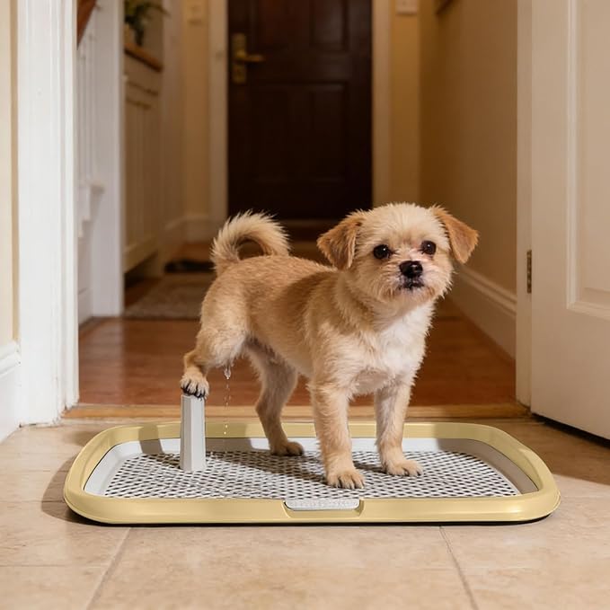 Dog Potty Tray with Guide Pillar, Indoor Pet Pee Pad Holder Duty, Removable Washable Puppy Training Toilet for Housebreaking Supplies Small Medium Dogs (Yellow-L)
