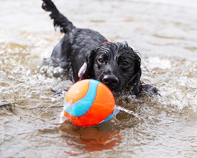 Chuckit! Amphibious Mega Ball or Roller That Floats for Medium and Large Dogs