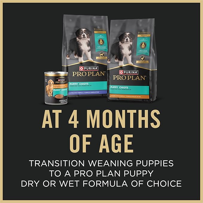 Purina Pro Plan Puppy Food Starter Mousse Chicken Entree Wet Dog Food - 5.5 Ounce (Pack of 24)