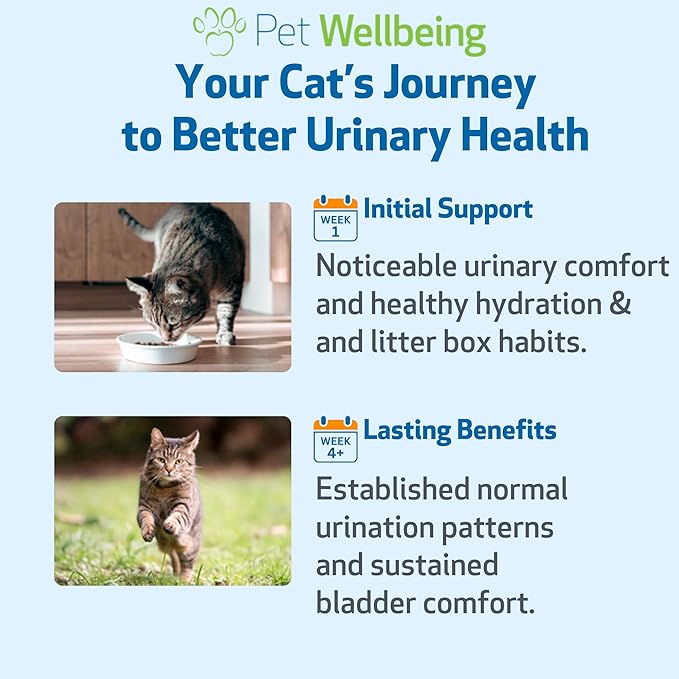 Pet Wellbeing Urinary Gold for Cats - Vet-Formulated Multi-Herb Urinary Tract Support - Feline Bladder Health & Urinary System Wellness - Holistic Cat Supplement - Liquid Formula (4 fl oz (118 ml))