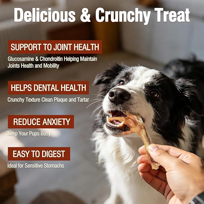 Dehydrated Chicken Feet Dog Treats Organic Nail-Free High Protein No Addictives Single Ingredient Paws All Natural Dog Chews & Snacks