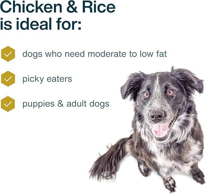 JustFoodForDogs Pantry Fresh Wet Dog-Food, Complete Meal or Dog Food Topper, Chicken & White Rice Human Grade Dog-Food Recipe - 12.5 oz, (Pack of 24)