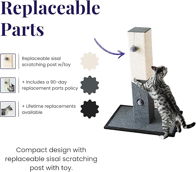 Catry Cat Scratching Post - Minimalist Style Design of Cat Tree Scratch Post with Kitten Playful Toy Allure, Good for Pets to Practice Their Claws, Multiple Size Choices