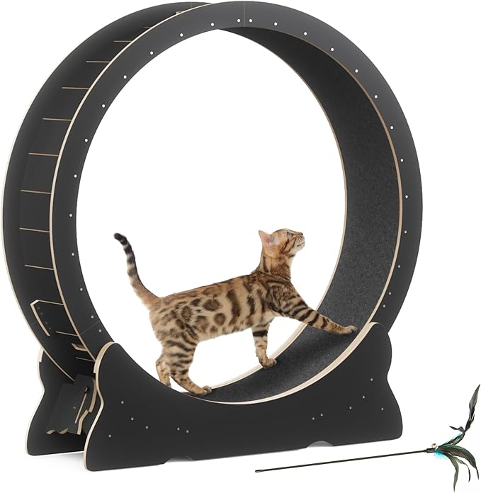 Cat Exercise Wheel, 46'' Cat Wheel for Indoor Cats with Carpeted Runway, XL Treadmill with Removable Carpet and Teaser, for Running Walking Training (Black)