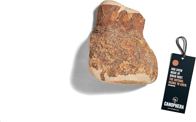Canophera - Dog Chew Root Made of Briar Wood (Xtra Large)
