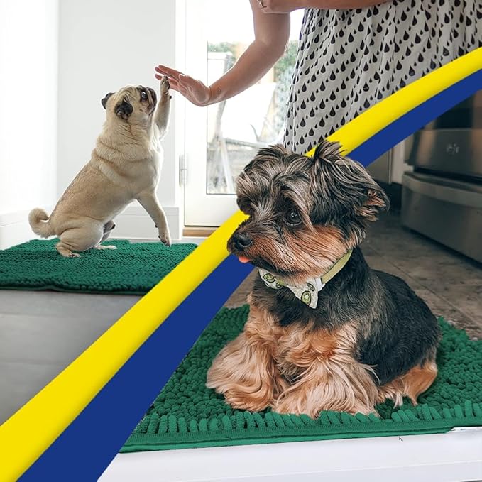 Muddy Mat® | Super Absorbent Door Mat Indoor, Microfiber Quick Dry Chenille Entryway Rug, Non-Slip Front Door Mat, Indoor Mats for Entryway, Machine Washable Pet Rug, Dark Green 24"x36"