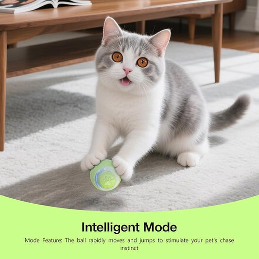 SEALON Electric Interactive Cat Toy Ball,Indoor Cat Play Ball, Suitable for Cats Over 6 Months for Exercise, Weight Loss, and Fun（Green）