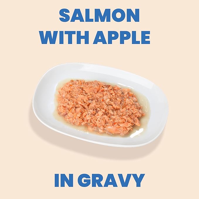 almo nature HQS Complete CAT Wet Cat Food Salmon Recipe with Apple in Gravy - Grain-Free Cat Food Canned, 2.47 oz (Pack of 12)