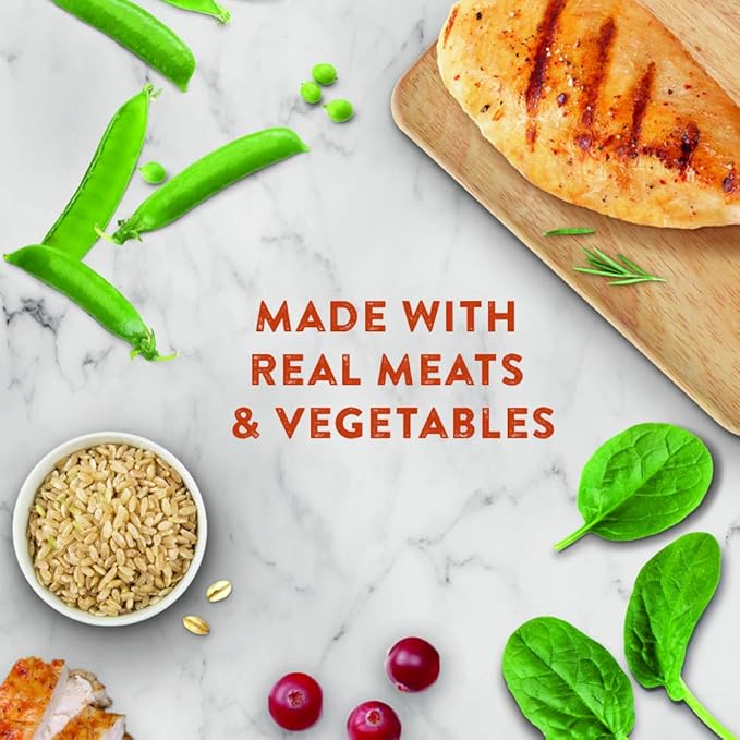 Chicken Soup for The Soul All Natural Premium Adult Wet Dog Food, Real Meat First Ingredient, No by-Products, Artificial Colors, Flavors or Preservatives, Salmon & Whitefish Pate, 13oz (Pack of 12)