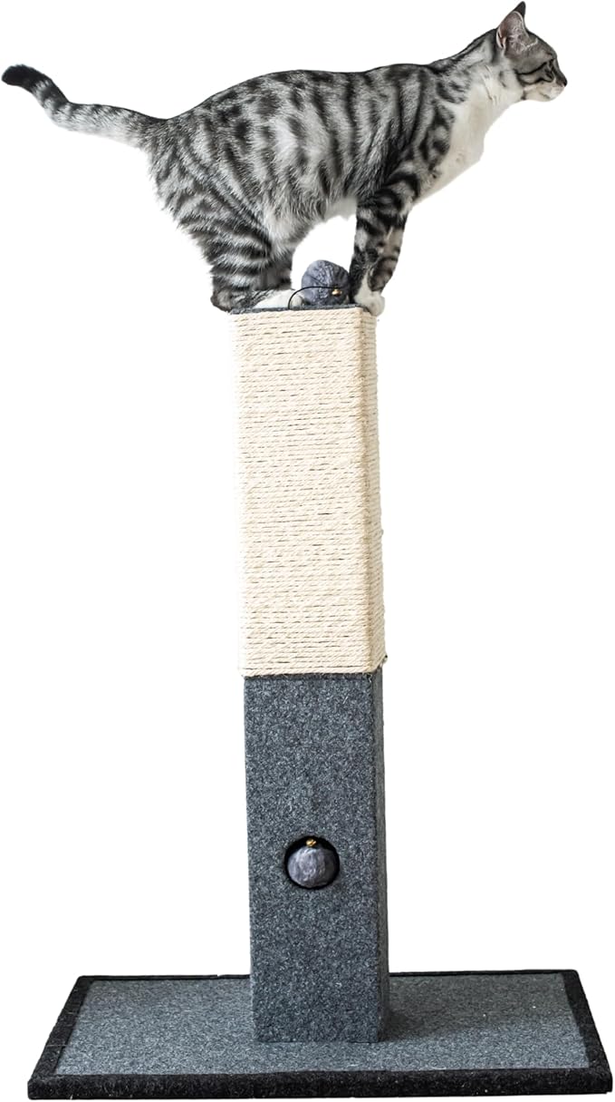 Catry Cat Scratching Post - Minimalist Style Design of Cat Tree Scratch Post with Kitten Playful Toy Allure, Good for Pets to Practice Their Claws, Multiple Size Choices