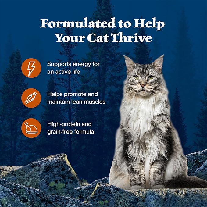 Blue Buffalo Wilderness Wild Delights Meaty Morsels Wet Cat Food,High-Protein & Grain-Free,Made with Natural Ingredients,Chicken & Turkey Recipe in Tasty Gravy,3-oz. Cans,(Pack of 48)