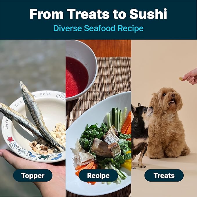 EASTREAT Freeze-Dried Sandlance Topper or Treats for Dogs & Cats | Single Ingredient, Wild Caught, Hypoallergenic – 3 Bottles