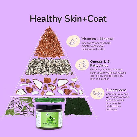 kin+kind Skin and Coat Supplement for Dogs & Cats – Natural Vitamin Supplements with Organic Ingredients for Shiny Fur, Moisturized Skin & Overall Pet Wellness – Dog Essentials & Cat Essentials 3x4 oz