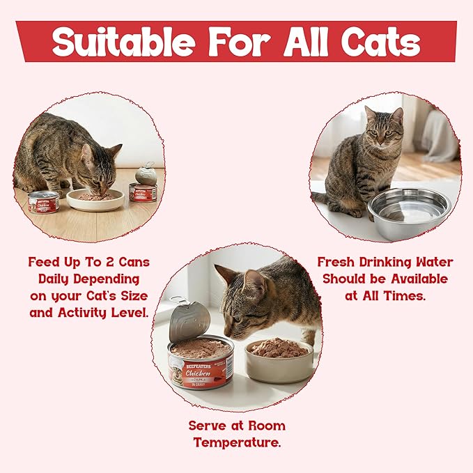 Beefeaters Chicken Chunk in Gravy Wet Cat Food 3oz (24-Pack) | Adult Wet Food with Taurine, Premium Catfood Wet Food, No Artificial Additives, Balanced Nutrition | Supports Immune System & Vision
