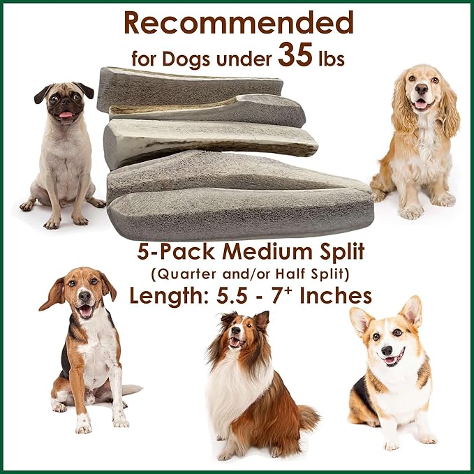 5-Pack Medium Split Elk Antler Dog Chews (5.5 to 7+ in) – All Natural, Premium Grade A, Odor-Free, USA-Sourced – Long-Lasting Dental Treats for Small Dogs Under 35 lbs