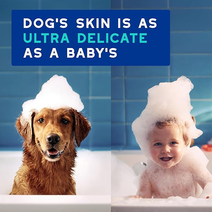 DOUXO® Skin & Coat SPA – Ultra-Safe Combo for Dogs, Odor Control Shampoo (16 fl oz, Cleanses & Removes Odor) + Multi-Action Odor Control Spray (11.5 fl oz, Deodorizes)