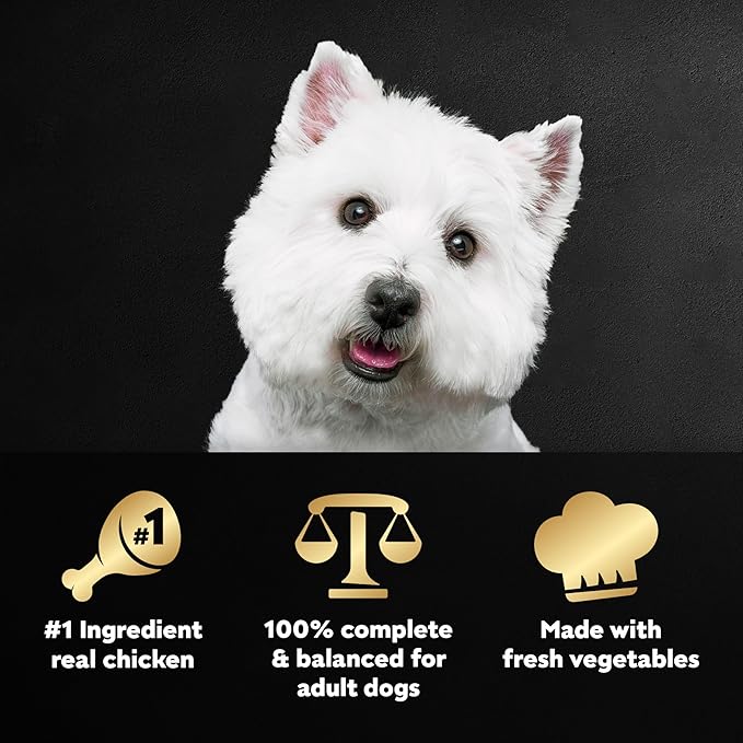 Cesar Wholesome Meals Chicken, Carrots, Barley & Green Beans Wet Dog Food, 17.6 oz. Pouch (6 Count)