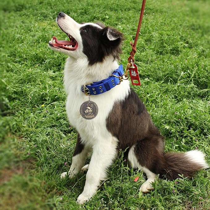 LIOOBO 3pcs Vintage Bronze Dog Id Tags Retro Pet Identity Tags for German Shepherd Collar Accessories Pet Supplies