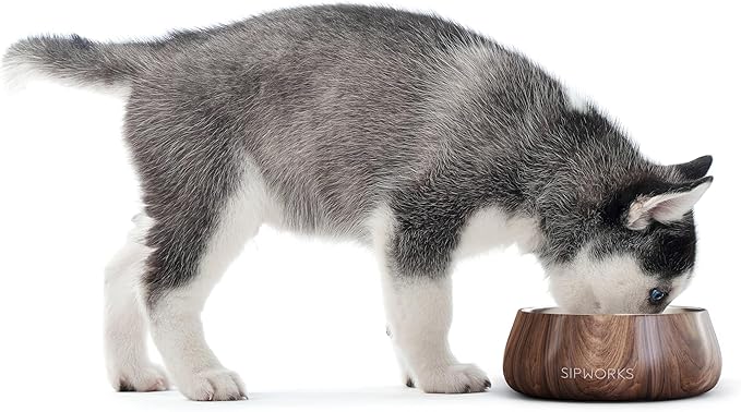 Sipworks Stainless Steel Dog Bowl – 32oz Weighted Metal Food and Water Bowls for Dogs and Cats with Non-Slip Base - Pet Bowls for All Breeds Sizes for Travel & Outdoor Play - Steel