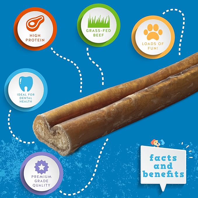 Jack&Pup 6 Inch Jumbo Bully Sticks for Dogs (12 Pack) Single Ingredient Dog Bully Sticks for Large Dogs and Aggressive Chewers