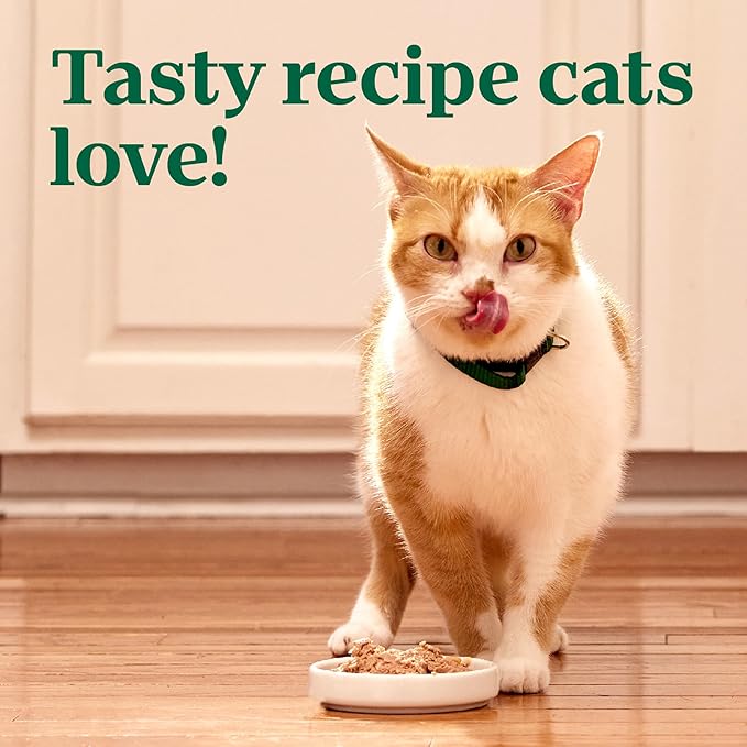 Nutro Perfect Portions Wet Cat Food Pate Turkey Recipe, Grain Free Wet Cat Food, 2.64 oz. Twin-Pack Trays (24 Count, Pack of 1)