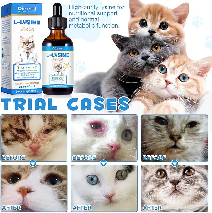 L-Lysine for Cats, L-ysine Supplement for Cats, Cat Immune Support, Cat Lysine Drops, 60ML Drops for Respiratory, Sneezing, Runny Nose, Eye Function, Allergy Relief for Kittens