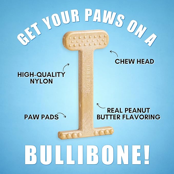 Bullibone Nylon Dog Chew Toy for Aggressive Chewers - Dental Hygiene Bone with Peanut Butter Flavor, Durable Tough Chew Toys for Small Dogs, Indestructible Dog Bone - Single