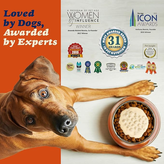 CLEAR CONSCIENCE PET® Arfredo™ SuperGravy® Natural Dog Food Gravy Topper, Hydration Broth Mix, Gluten and Grain Free Kibble Seasoning Powder Topper for Picky Eaters (9 oz. (60 Scoop))