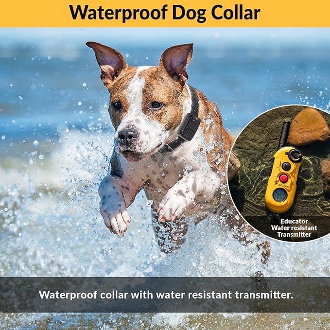 Educator EZ-900 1/2 Mile Dog Training Collar with Ergonomic Remote–Humane Vibration Stimulation & Pavlovian Tone–Waterproof, Rechargeable, Biothane Collar, Night Light–Small & Medium Dogs–Yellow