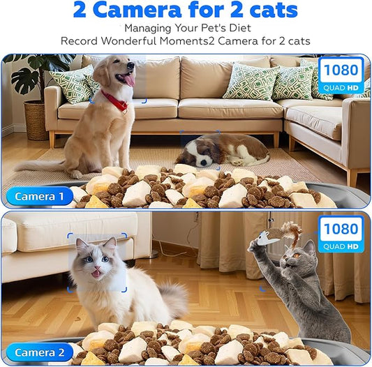 TYM Automatic Cat Feeder with 2 Camera for 2 Cats,7L Dog Automatic Feeder with Night Vision 2K 4MP 5G WiFi Dual Cat Feeder with Smart App Two Way Audio Privacy Masking Stainless Steel