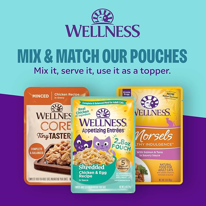Wellness Wet Cat CORE Signature Selects Kitten Wet Cat Food, Protein-Rich, Grain Free, 2.8 Ounce, 8 Pack (Kitten Variety Pack)