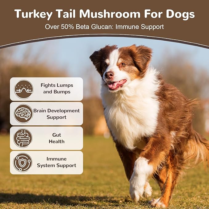 Turkey Tail Mushroom for Dogs, Organic 10 Mushroom Blend for Lumps and Bumps, Dog Herbal Supplements Probiotic with 50% β-Glucan, Joint Gut Immune Skin Support-60 Day Supply