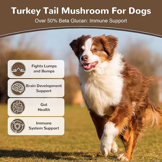 Turkey Tail Mushroom for Dogs, Organic 10 Mushroom Blend for Lumps and Bumps, Dog Herbal Supplements Probiotic with 50% β-Glucan, Joint Gut Immune Skin Support-60 Day Supply