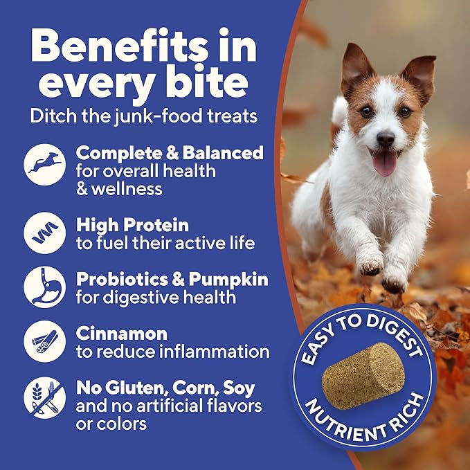 Dave's Pet Food Digesti-Bites Easy to Digest Freeze Dried Beef and Beef Liver Dog Treats with Pumpkin Fiber & Probiotics, Complete & Balanced Nutritious, Freeze Dried Dog Food Topper, USA Made (4 oz)