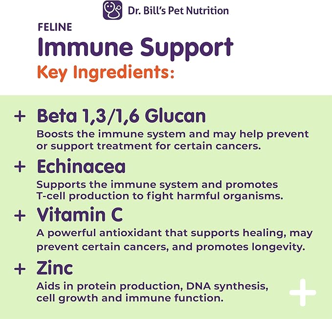 Feline Digestive & Immune Support Bundle | Cat Probiotics, Enzymes, Colostrum & Antioxidants for Gut Health, Strong Immunity & Faster Recovery | Vet-Formulated Cat Supplements
