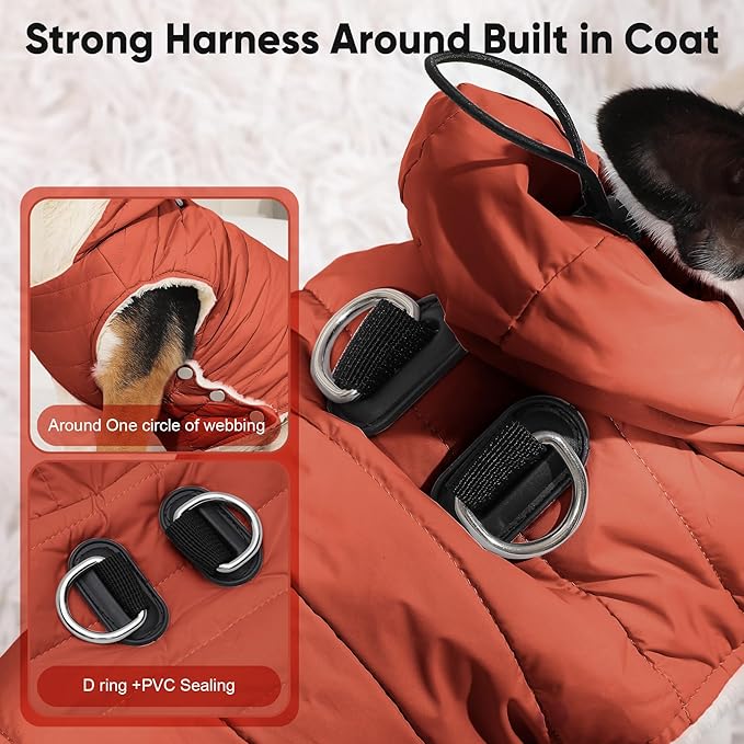 Fleece Lining Dog Hoodie with Harness Built in,Extra Warm Small Dog Jacket in Winter Puppy Coats with Drawstring Hooded,Orange M