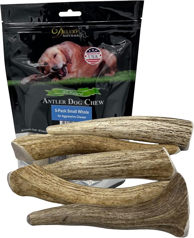 5-Pack Small Whole Elk Antler Dog Chews, 5-7+ Inches, Long-Lasting Natural Dog Chews for Aggressive Chewers, Teeth Cleaning Antler Treats for Small Dogs Under 20 lbs