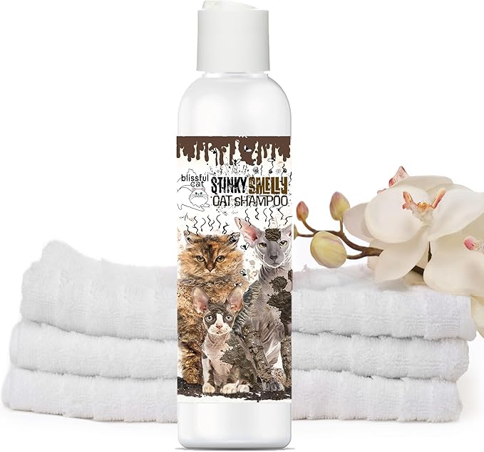 The Blissful Dog Stinky Smelly Cat Shampoo, 8-Ounce
