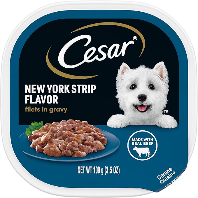 Cesar Filets in Gravy, Adult Wet Dog Food, New York Strip Flavor, Wet Food for Dogs, 3.5 oz Tray