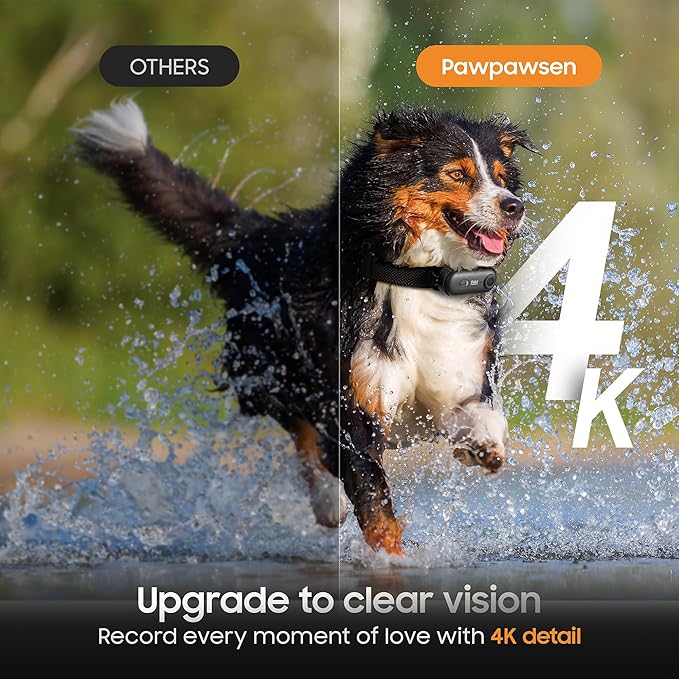 4K UHD Cat& Dog Pet Camera Collar, Video Recorder with Phone App Live View, Outdoor & Indoor POV Action Cam for Kitty and Big Cats(Black - Pink Waterproof Collar - S, 64g)
