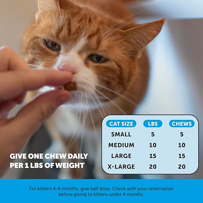 Cat Multivitamin & Skin Health Bundle – Multivitamin Chews 90 Day + Skin & Coat Health Chews 30 Day Supply