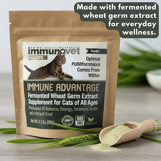 Cat Supplement Powder with Fermented Wheat Germ Extract (FWGE) – Supports Immune System, Gut Health & Energy – Natural, Non-GMO, Vet-Trusted Formula for All Cat Ages – 90g | Immunovet